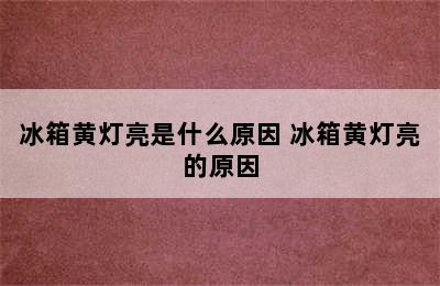 冰箱黄灯亮是什么原因 冰箱黄灯亮的原因